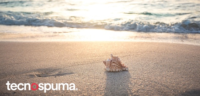 Vacances d’été à Tecno Spuma 2025